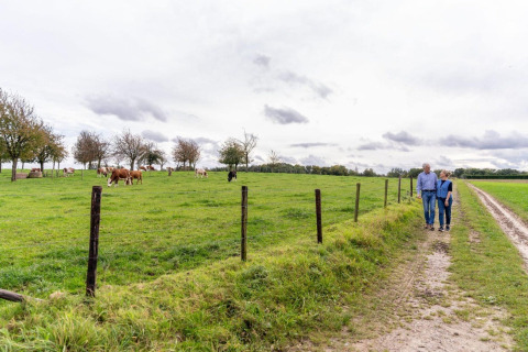 Una coppia anziana passeggia su un sentiero accanto a una mandria di mucche alla Biebosch Sunshower Lodge in Olanda.