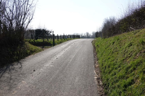 Strada asfaltata vicino al lodge 'Biebosch' Sunshower nei Paesi Bassi, tra pendii verdi e recinzioni.