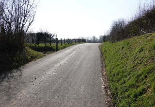 Strada asfaltata vicino al lodge 'Biebosch' Sunshower nei Paesi Bassi, tra pendii verdi e recinzioni.