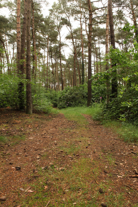 I dintorni del campeggio - Camping Siësta - Vodatent - Wechelderzande, Anversa, Belgio