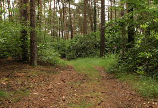 Surroundings of camping - Camping Siësta - Vodatent - Wechelderzande, Antwerp, Belgium