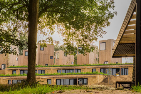 Lodges modernes en bois avec toits végétalisés, entourés d’arbres et de nature, sous un ciel nuageux.