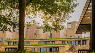 Modern wooden lodges with green roofs, surrounded by trees and nature, under a cloudy sky at sunset.