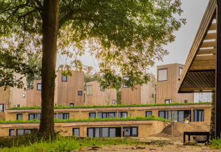 Lodges modernes en bois avec toits végétalisés, entourés d’arbres et de nature, sous un ciel nuageux.