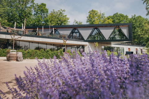 Lodge moderne aux grandes baies vitrées et terrasse, entouré de verdure et de fleurs violettes au premier plan.