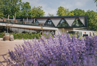 Lodge moderne aux grandes baies vitrées et terrasse, entouré de verdure et de fleurs violettes au premier plan.