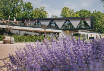 Lodge moderno con grandes ventanales y terraza, rodeado de vegetación y flores moradas en primer plano.