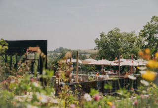 Espace de restauration extérieur d'un lodge avec parasols et fleurs, entouré de verdure par beau temps.