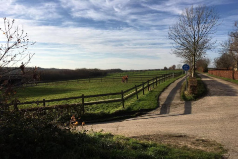 Une route de campagne paisible près d’un lodge, champs verts, chevaux, clôtures et panneau cyclable.