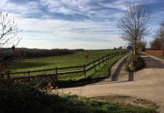 Une route de campagne paisible près d’un lodge, champs verts, chevaux, clôtures et panneau cyclable.