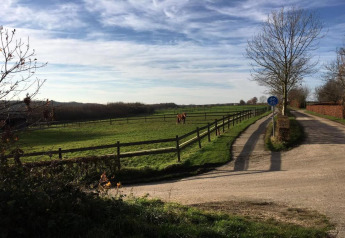 Rustige landweg bij een lodge, groene velden, grazende paarden, houten afsluitingen en fietspadbord.