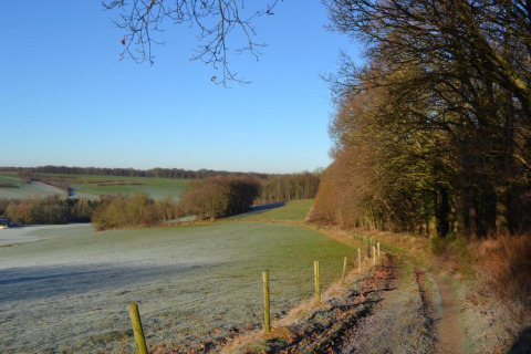 Vue depuis un gîte sur des champs givrés, un sentier terreux et des arbres sous un ciel bleu clair.