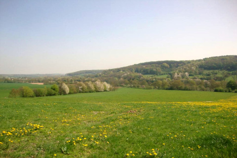 Photo prise depuis un lodge montrant des champs verdoyants, des collines et des arbres en fleur sous le ciel bleu.