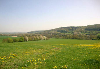 Photo prise depuis un lodge montrant des champs verdoyants, des collines et des arbres en fleur sous le ciel bleu.