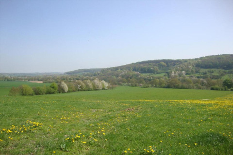 Photo prise depuis un lodge montrant des champs verdoyants, des collines et des arbres en fleur sous le ciel bleu.