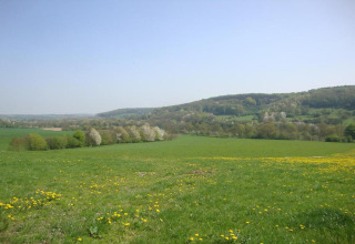 Photo prise depuis un lodge montrant des champs verdoyants, des collines et des arbres en fleur sous le ciel bleu.