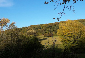 Vista dal lodge su una vallata alberata con diverse tonalità di verde sotto un cielo azzurro limpido.