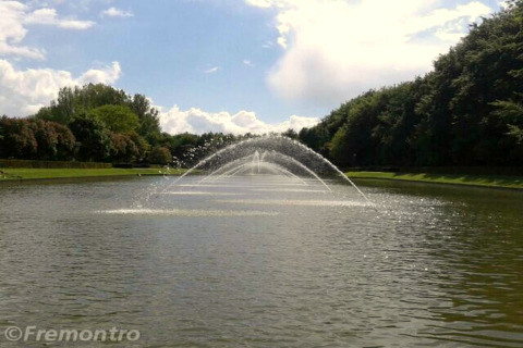 Un bassin paisible avec une grande fontaine au centre, entouré d’arbres et de verdure sous un ciel bleu.