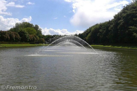 Un bassin paisible avec une grande fontaine au centre, entouré d’arbres et de verdure sous un ciel bleu.