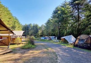 Campeggio con tende - Camping Siësta - Vodatent - Wechelderzande, Anversa, Belgio