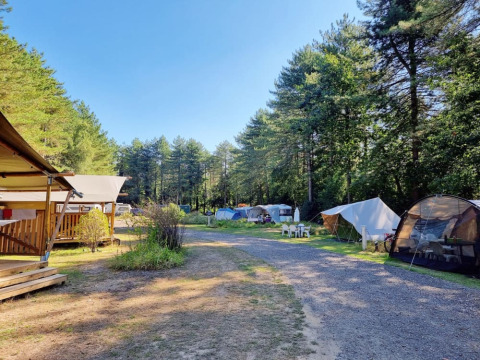 Campingplads med telte - Camping Siësta - Vodatent - Wechelderzande, Antwerpen, Belgien