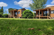 Two tiny wooden houses with porches on green grass under a blue sky at Tiny House in the Netherlands.