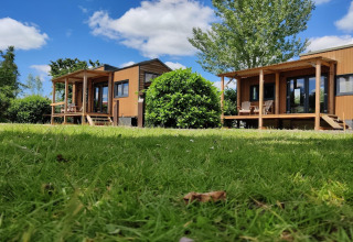 Deux petites maisons en bois avec porches sur pelouse verte sous ciel bleu à Tiny House aux Pays-Bas.