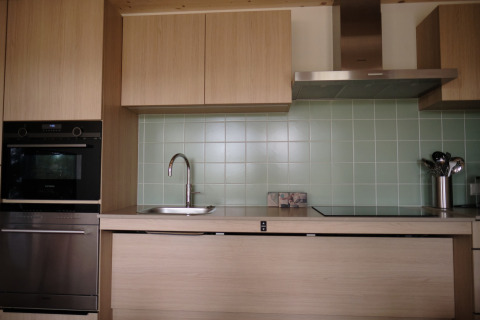 Modern kitchen at Resort Gulpen 2 in the Netherlands with wood cabinets, green tiles, oven and sink.