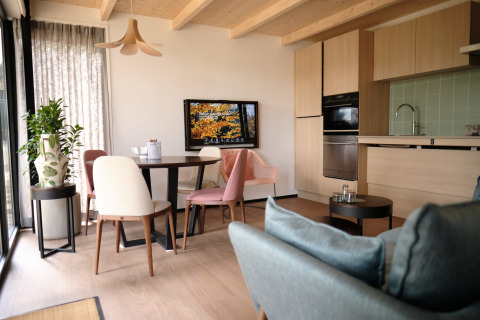 Modern open-plan living room and kitchen at Resort «Gulpen 2», Netherlands, featuring wood accents.