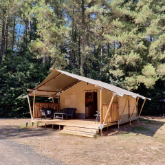 Safaritent - Camping Siësta - Vodatent - Wechelderzande, Antwerpen, België