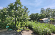 Have med høje træer, grønne stole og borde under solen ved Large Green House 4 persons i Holland.