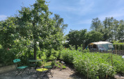 Zonnige tuin met groene stoelen, tafels en tent bij Large Green House 4 persons in Nederland.