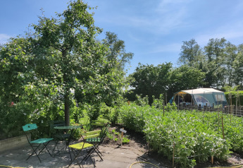 Zonnige tuin met groene stoelen, tafels en tent bij Large Green House 4 persons in Nederland.