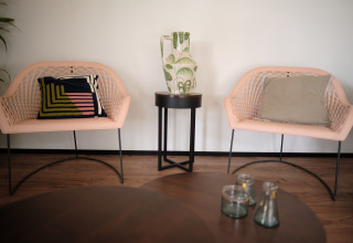 Zona de estar moderna en Resort «Gulpen 1» en Países Bajos, con sillas, cojines y decoración.