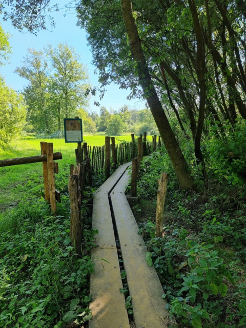 Wandelpad - Camping Siësta - Vodatent - Wechelderzande, Amberes, Bélgica
