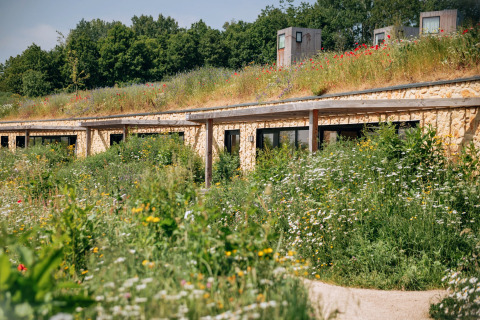 Lodge écologique Resort Gulpen 4 aux Pays-Bas, entouré de fleurs sauvages et de verdure luxuriante.