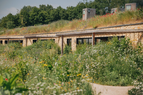 Naturligt integreret lodge Resort Gulpen 4 i Holland, omgivet af vilde blomster og grønne planter.