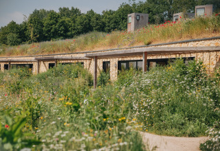 Naturligt integreret lodge Resort Gulpen 4 i Holland, omgivet af vilde blomster og grønne planter.