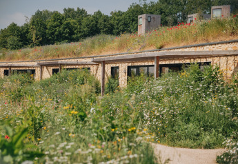 Lodge Resort Gulpen 4 in Nederland, geïntegreerd in een landschap vol bloemen en weelderig groen.