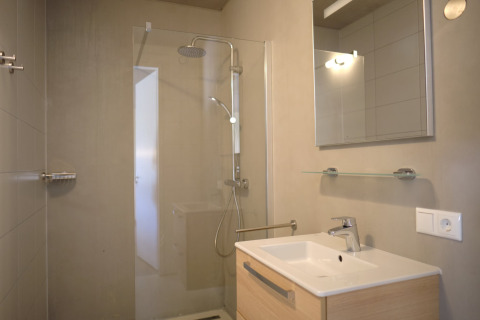 Moderne badeværelse med bruser, spejlskab, håndvask og glasvæg på Resort Gulpen 4 i Holland.