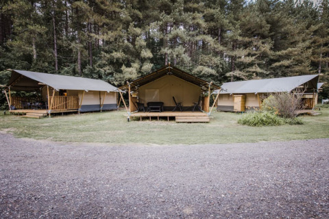 Tienda Safari - Camping Siësta - Voda-Tent - Wechelderzande, Amberes, Bélgica
