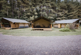 Safaritelt - Camping Siësta - Voda-Tent - Wechelderzande, Antwerpen, Belgien