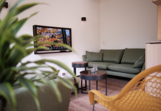 Salon moderne au Resort Gulpen 7 aux Pays-Bas, canapé vert, télévision et décoration chaleureuse.