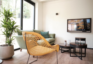 Salon lumineux au Resort Gulpen 7 aux Pays-Bas, avec canapé vert, chaise jaune et grande baie vitrée.