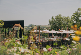Coin repas extérieur au Resort Gulpen 7 aux Pays-Bas, avec parasols, tables et vue sur la nature.