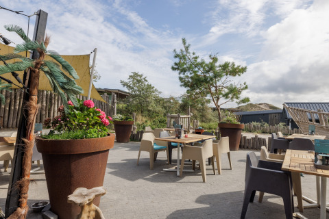 Gezellig buitenterras bij een glamping met stoelen, tafels en grote bloempotten in een natuurlijke setting.