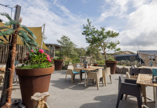 Gezellig buitenterras bij een glamping met stoelen, tafels en grote bloempotten in een natuurlijke setting.