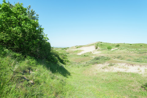 Groene heuvels en zandduinen onder een blauwe hemel bij een glampingverblijf.