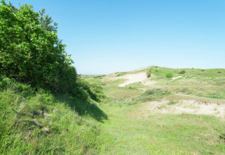 Groene heuvels en zandduinen onder een blauwe hemel bij een glampingverblijf.