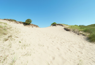Zonnige duin met her en der gras bij een glampingverblijf, onder een stralend blauwe hemel.